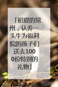 初夏的常州，认养一头牛为福利院的孩子们送去1000份特别的礼物