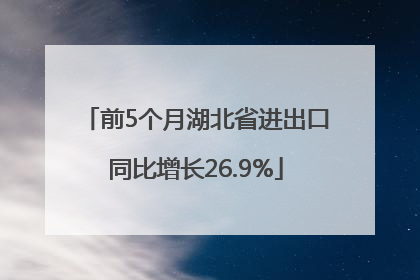 前5个月湖北省进出口同比增长26.9%