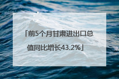 前5个月甘肃进出口总值同比增长43.2%