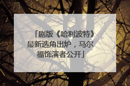 剧版《哈利波特》最新选角出炉，马尔福饰演者公开