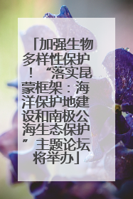 加强生物多样性保护！“落实昆蒙框架：海洋保护地建设和南极公海生态保护”主题论坛将举办