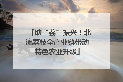 助“荔”振兴！北流荔枝全产业链带动特色农业升级