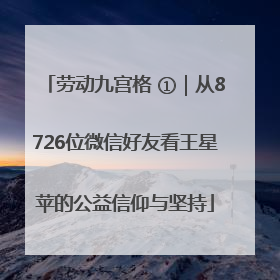 劳动九宫格 ①｜从8726位微信好友看王星苹的公益信仰与坚持