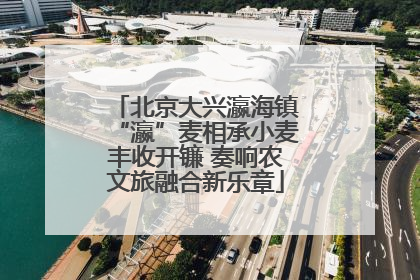 北京大兴瀛海镇“瀛”麦相承小麦丰收开镰 奏响农文旅融合新乐章