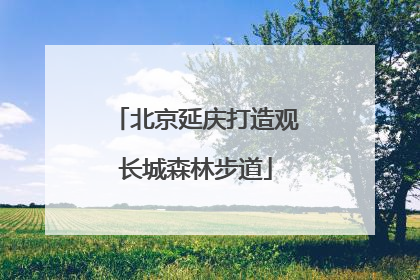 北京延庆打造观长城森林步道