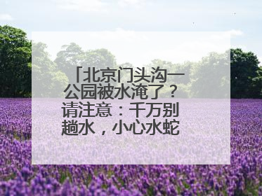 北京门头沟一公园被水淹了？请注意：千万别趟水，小心水蛇、水蛭……