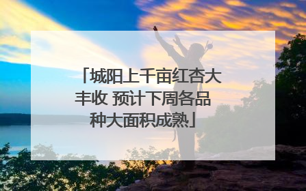 城阳上千亩红杏大丰收 预计下周各品种大面积成熟