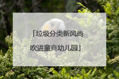 垃圾分类新风尚 吹进童真幼儿园