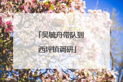 吴毓舟带队到西坪镇调研