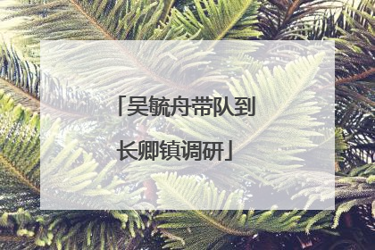 吴毓舟带队到长卿镇调研