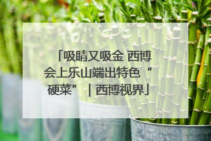 吸睛又吸金 西博会上乐山端出特色“硬菜”｜西博视界