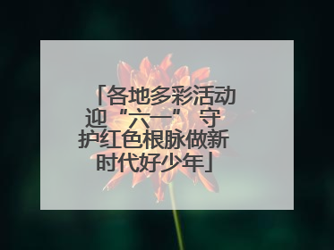 各地多彩活动迎“六一” 守护红色根脉做新时代好少年