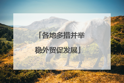 各地多措并举稳外贸促发展