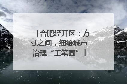 合肥经开区：方寸之间，细绘城市治理“工笔画”