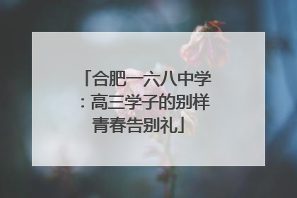 合肥一六八中学：高三学子的别样青春告别礼