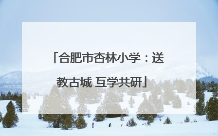 合肥市杏林小学：送教古城 互学共研