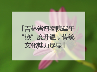 吉林省博物院端午“热”度升温，传统文化魅力尽显