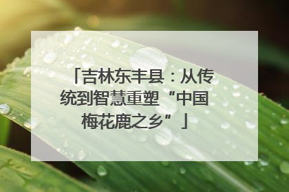 吉林东丰县：从传统到智慧重塑“中国梅花鹿之乡”