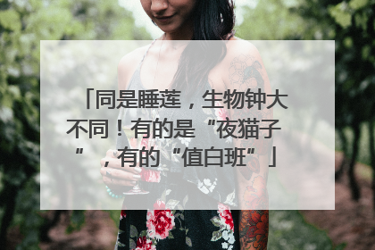 同是睡莲，生物钟大不同！有的是“夜猫子”，有的“值白班”