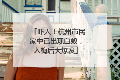 吓人！杭州市民家中已出现白蚁，入梅后大爆发
