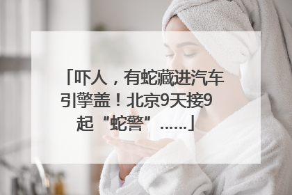 吓人，有蛇藏进汽车引擎盖！北京9天接9起“蛇警”……