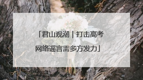 君山观潮｜打击高考网络谣言需多方发力