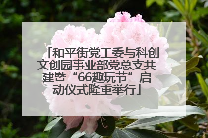 和平街党工委与科创文创园事业部党总支共建暨“66趣玩节”启动仪式隆重举行