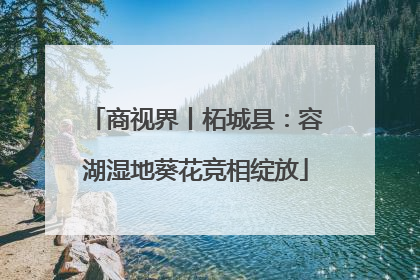 商视界丨柘城县：容湖湿地葵花竞相绽放