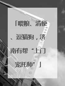 喂粮、清便、逗猫狗，济南有帮“上门宠托师”