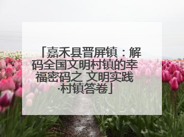 嘉禾县晋屏镇：解码全国文明村镇的幸福密码之 文明实践·村镇答卷