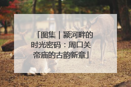 图集｜颍河畔的时光密码：周口关帝庙的古韵新章