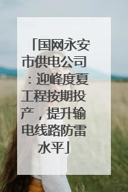 国网永安市供电公司：迎峰度夏工程按期投产，提升输电线路防雷水平