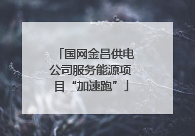 国网金昌供电公司服务能源项目“加速跑”