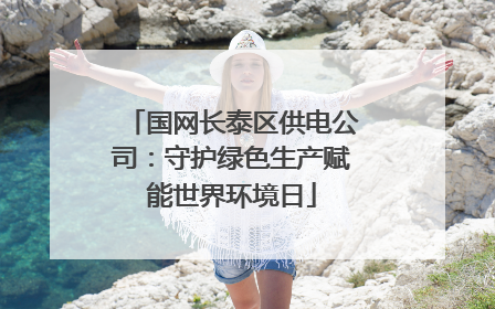 国网长泰区供电公司：守护绿色生产赋能世界环境日