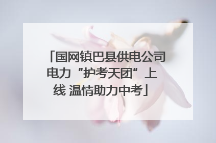 国网镇巴县供电公司 电力“护考天团”上线 温情助力中考