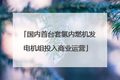国内首台套氢内燃机发电机组投入商业运营