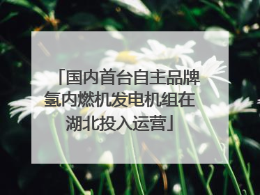 国内首台自主品牌氢内燃机发电机组在湖北投入运营