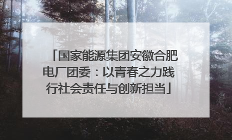 国家能源集团安徽合肥电厂团委：以青春之力践行社会责任与创新担当