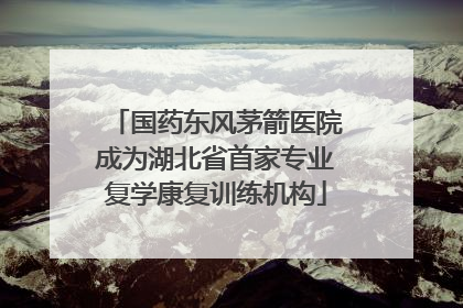 国药东风茅箭医院成为湖北省首家专业复学康复训练机构