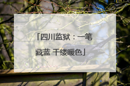 四川监狱：一笔藏蓝 千缕暖色
