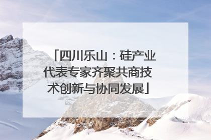 四川乐山：硅产业代表专家齐聚共商技术创新与协同发展