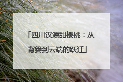 四川汉源甜樱桃：从背篓到云端的跃迁