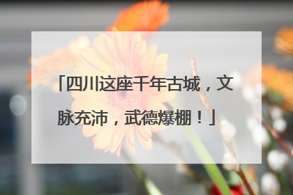 四川这座千年古城，文脉充沛，武德爆棚！