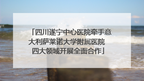 四川遂宁中心医院牵手意大利萨莱诺大学附属医院 四大领域开展全面合作