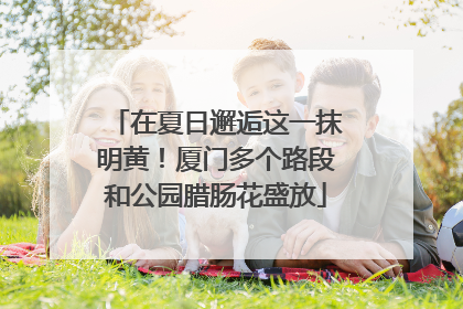 在夏日邂逅这一抹明黄！厦门多个路段和公园腊肠花盛放