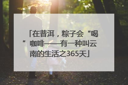 在普洱，粽子会“喝”咖啡——有一种叫云南的生活之365天