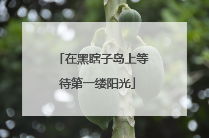 在黑瞎子岛上等待第一缕阳光