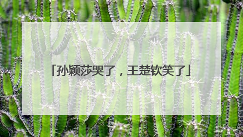 孙颖莎哭了，王楚钦笑了