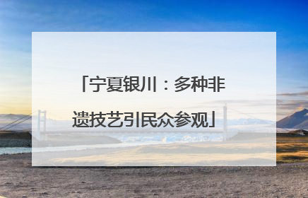 宁夏银川：多种非遗技艺引民众参观