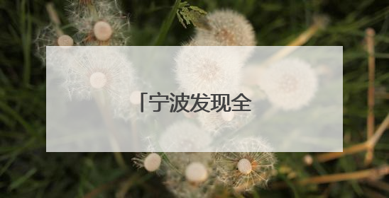宁波发现全新水母物种